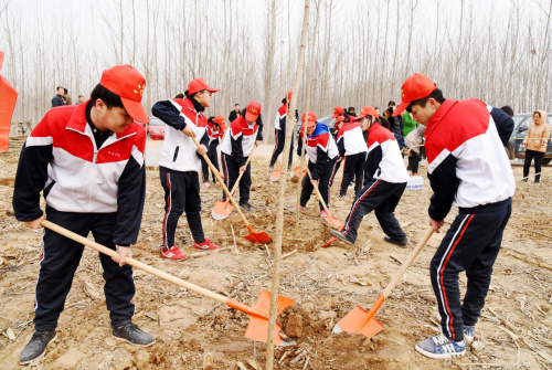 3月12日，河间市职教中心的青年志愿者在兴村乡一绿化区参加义务植树活动。当日是植树节，各地开展义务植树活动，号召人们行动起来植树添绿，美化家园。新华社记者 朱旭东 摄