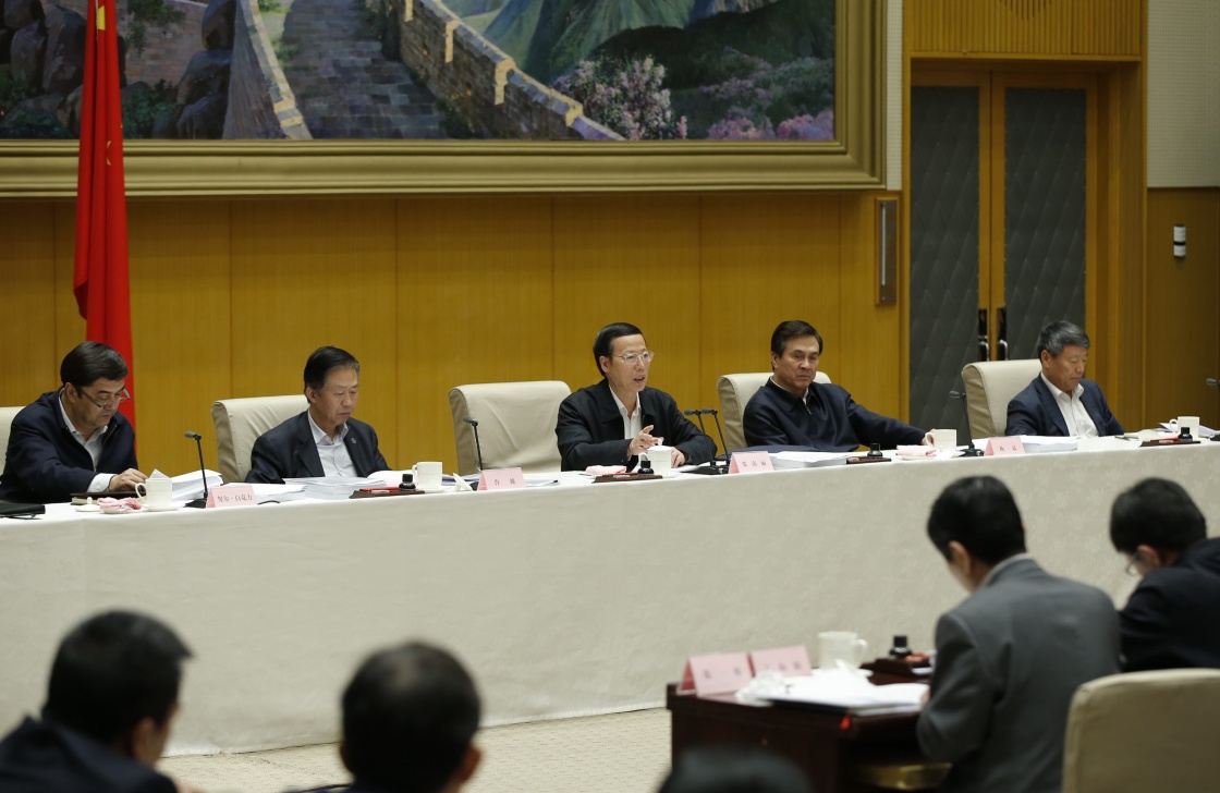 3月25日，中共中央政治局常委、国务院副总理张高丽在北京出席国务院实施新一轮农村电网改造升级工程电视电话会议并讲话。新华社记者 鞠鹏 摄