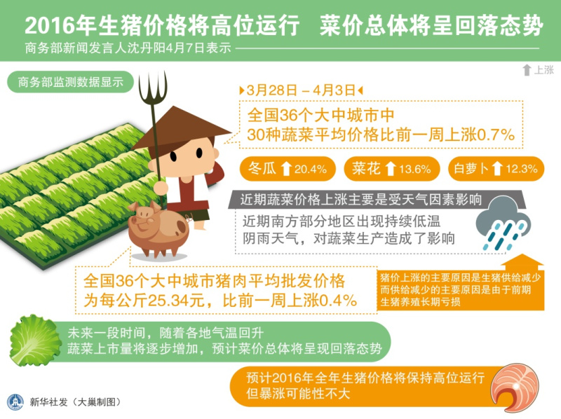 图表：2016年生猪价格将高位运行 菜价总体将呈回落态势  新华社发 （大巢制图）