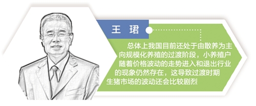 适应新变化 缓解猪周期