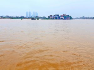 标A.jpg