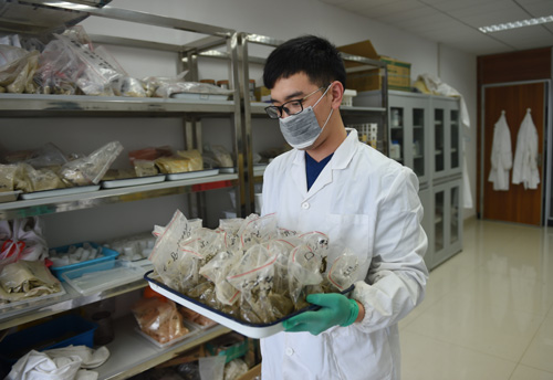 湖南永清环保研究院实验室里，工作人员准备对土壤样本进行检测（4月28日摄）。新华社记者 李尕摄