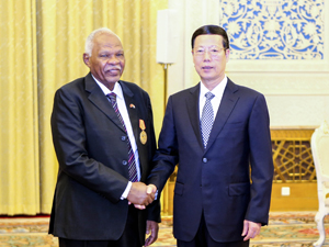 E标-300.jpg