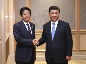 D标-300.jpg