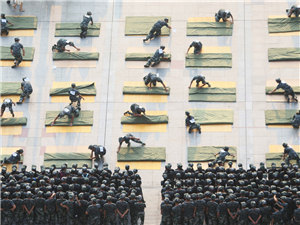 88.jpg