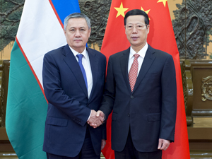 张高丽标-300.jpg