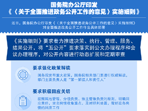 300政务公开中国政府网.jpg