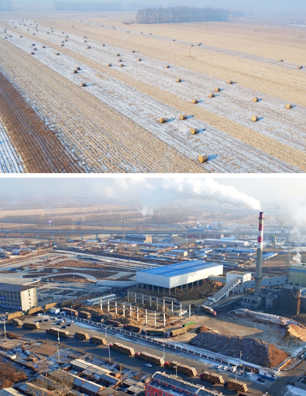 上图：在吉林省公主岭市，打包好的秸秆等待运往电厂；下图：在国能公主岭生物发电有限公司，装有秸秆的货车等待过磅卸车（拼版照片，12月7日摄）。秋收刚过，田间大量秸秆如何处理是个大问题。在吉林省公主岭市，过去要被就地焚烧的秸秆如今被打包装车，运往国能公主岭生物发电有限公司用于发电。近年来，随着吉林省秸秆综合利用产业体系的逐步完善，越来越多的农民将秸秆送到电厂集中发电，既利于环保又增加了收入。从曾经的“烧火棍”到现在的“香饽饽”，吉林省农民正告别烧秸秆的“传统”，走“以禁促用”的新路。根据规划，到2020年，吉林省秸秆综合利用率将达到85%，基本解决秸秆露天焚烧问题。