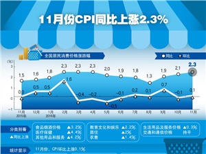 11月份CPI同比上涨2.3%_副本.jpg