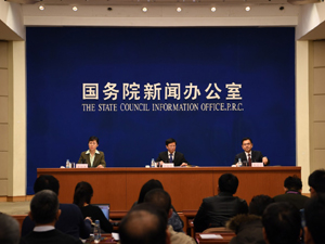 300白皮书1.jpg