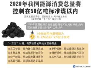 300能源消费.jpg