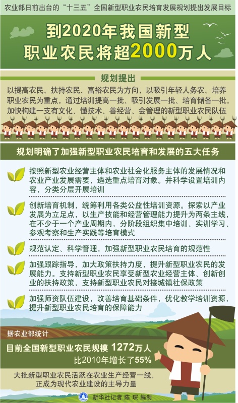 2020中国农民人口_2020年中国人口结构图(2)