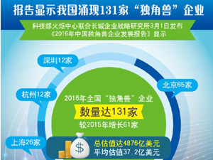 300独角兽.jpg