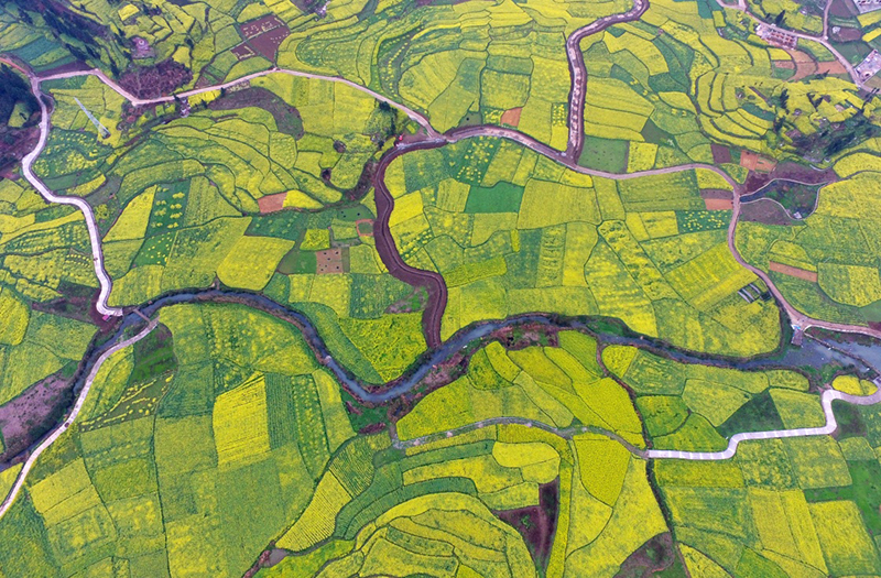 春满田园