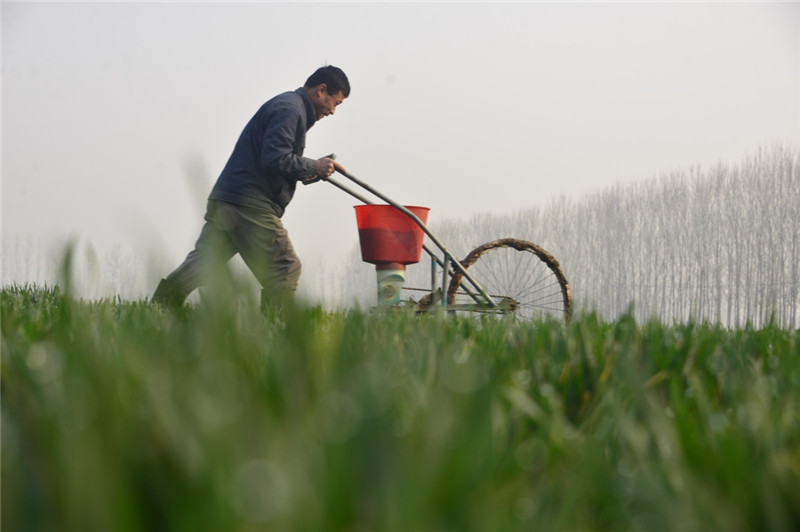 初春时节,各地农民忙碌在田间地头,抓紧农时进行春播春种和田管工作.