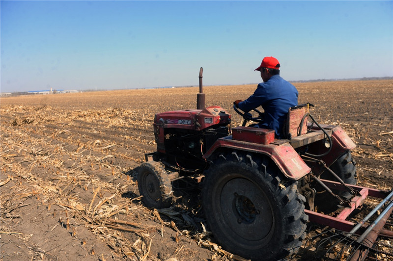 3月28日,吉林省农安县万顺镇农民在地里劳作.