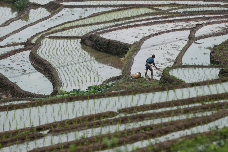 在四川省乐山市沙湾区葫芦镇四峨山,村民在梯田上整理田地准备插秧
