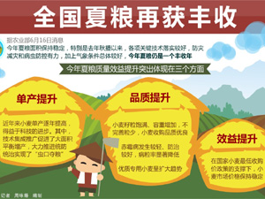300全国夏粮再获丰收.jpg