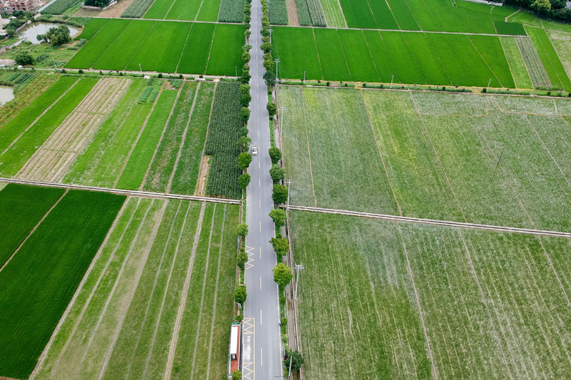 浙江余杭永安村:保护基本农田,助力绿色发展