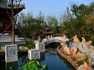 郑州1-300.jpg