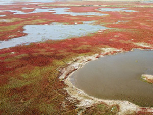 300吉林莫莫格：湿地旖旎秋色.jpg