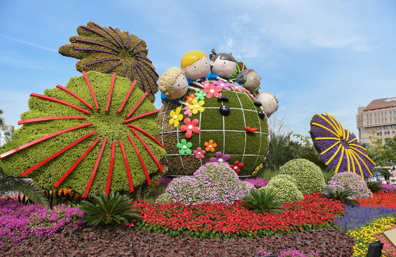 国庆花坛常见的花卉图片