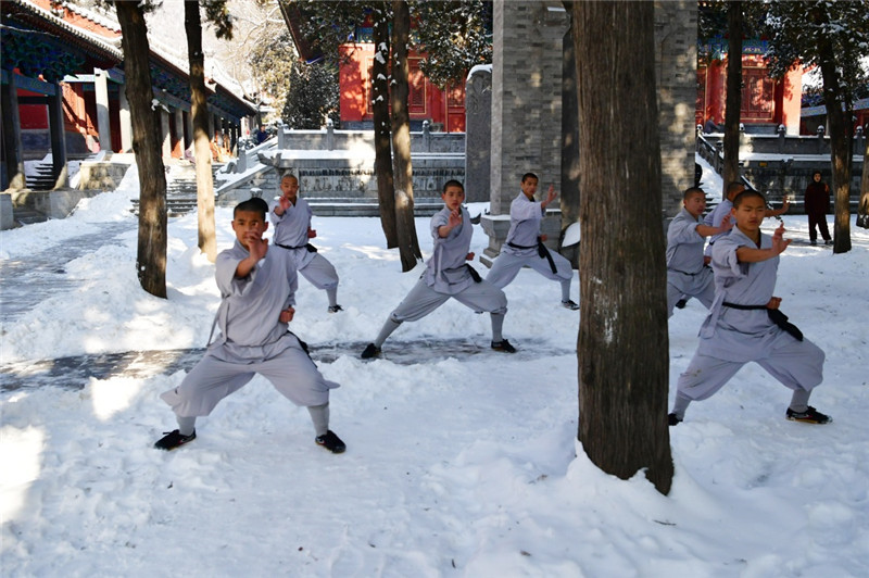 少林寺武僧雪中展绝技