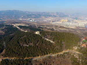 300山东原山林场.jpg