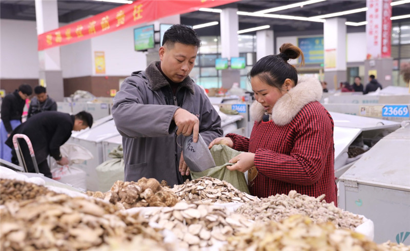 中国(亳州)中药材交易市场开市
