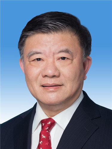 第十三届全国人民代表大会常务委员会副委员长,秘书长简历