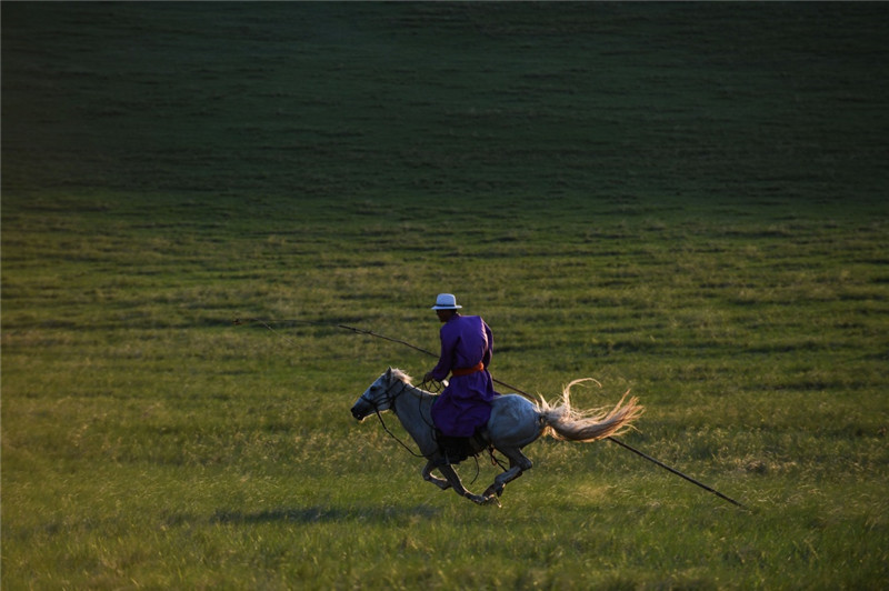 草原骑马飞奔的图片图片