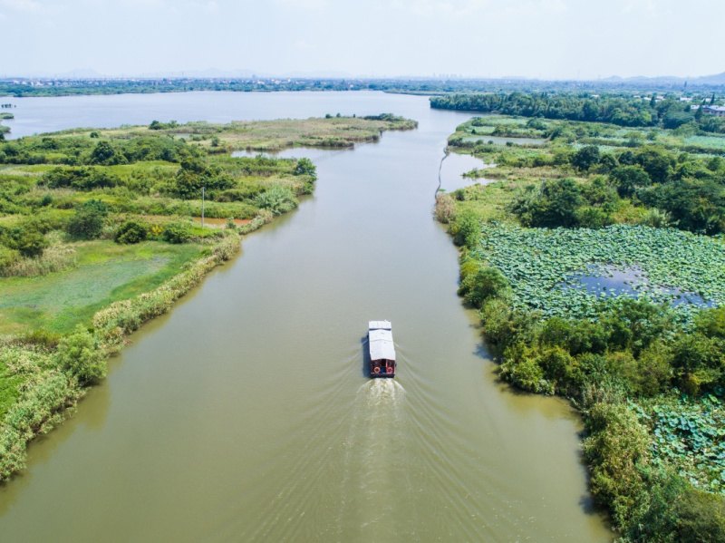 8月8日,德清县下渚湖景区的电动游船行驶在湖区的水面上(无人机拍摄).