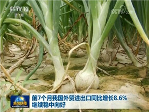 前7个月我国外贸同比增长8.6% 继续稳中向好.jpg