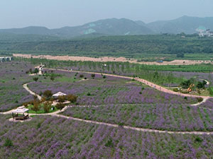 沙河2.jpg