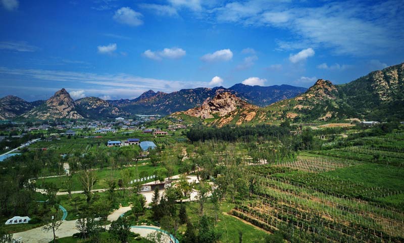 新闻 图片库 图片近年来,河北省昌黎县坚持生态优先的原则,采用植草带