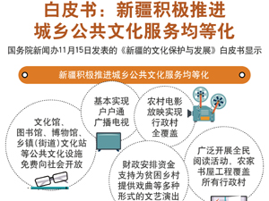 公共文化服务-300.jpg