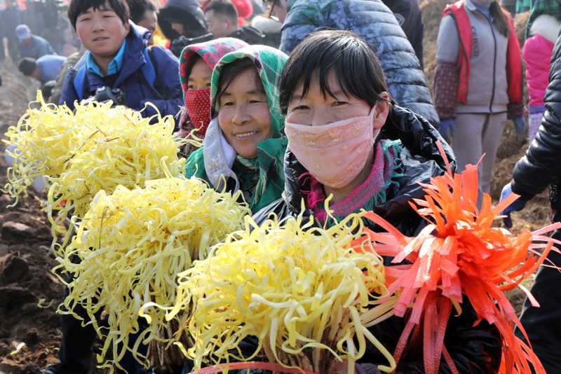 隆冬时节庆丰收
