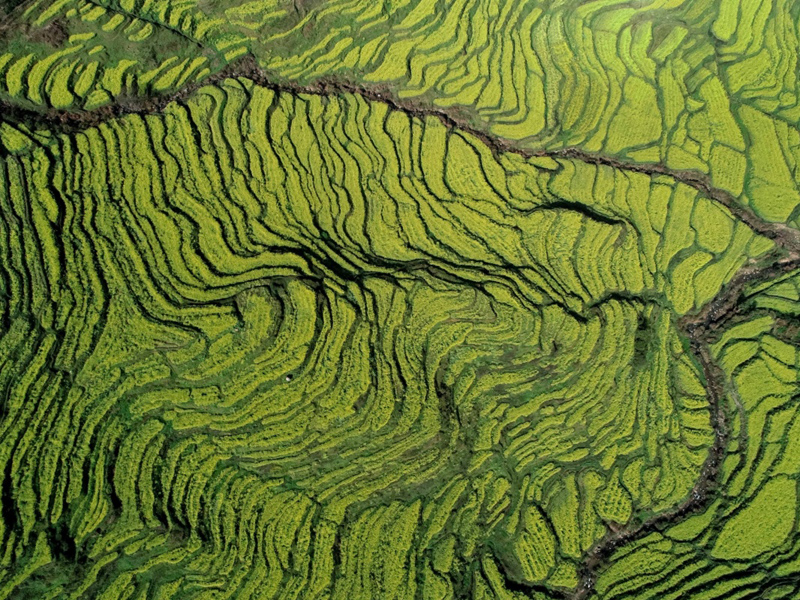 6e9669304985475a9fed4e5a8d262166.jpg