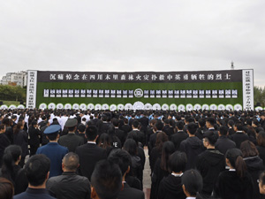 456.jpg