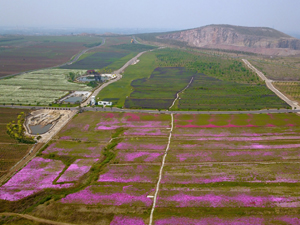 山东2-300.jpg
