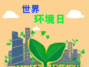 环境2-300.jpg