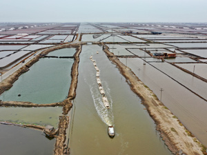 经济7-300.jpg