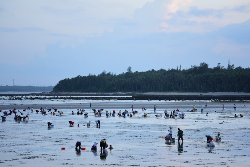 新华社发(蒙钟德 摄) 盛夏时节,海南省琼海市长坡镇青葛渔港迎来不少