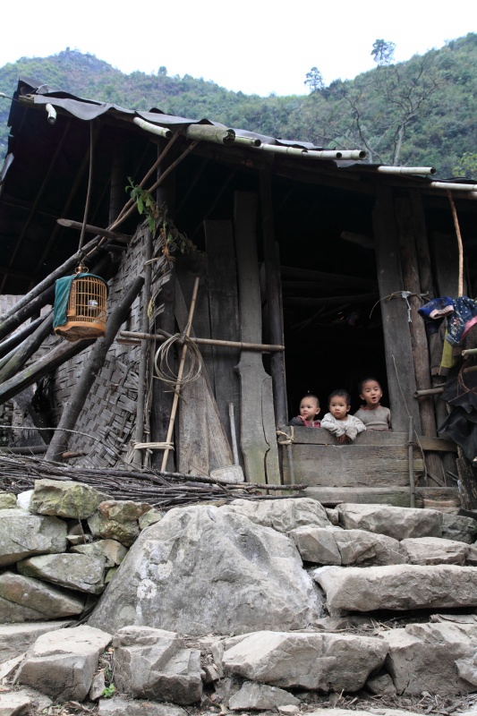 新闻 图片库 图片新华社发 (南丹县委宣传部供图) 作为瑶族的一个支系