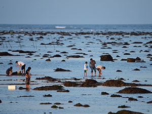 海南300-225.jpg