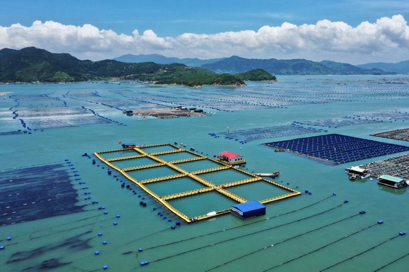 7月17日,福建省霞浦县下浒镇海上养殖区,用新型材料建设的渔排已经