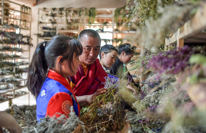 8月10日,壤塘县时轮藏香技艺传承人马角玛(左二)在藏香原料晾制房指导