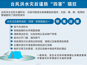 300-225图表.jpg