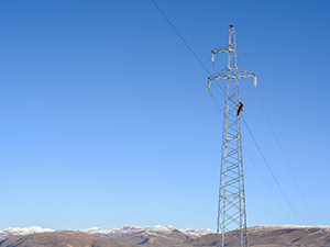 d300-225.JPG