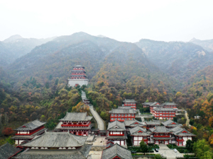 环境4-300.jpg
